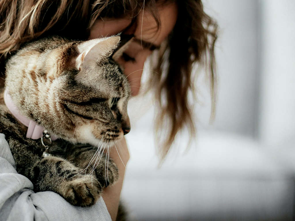 jeune femme qui porte un chat dans ses bras