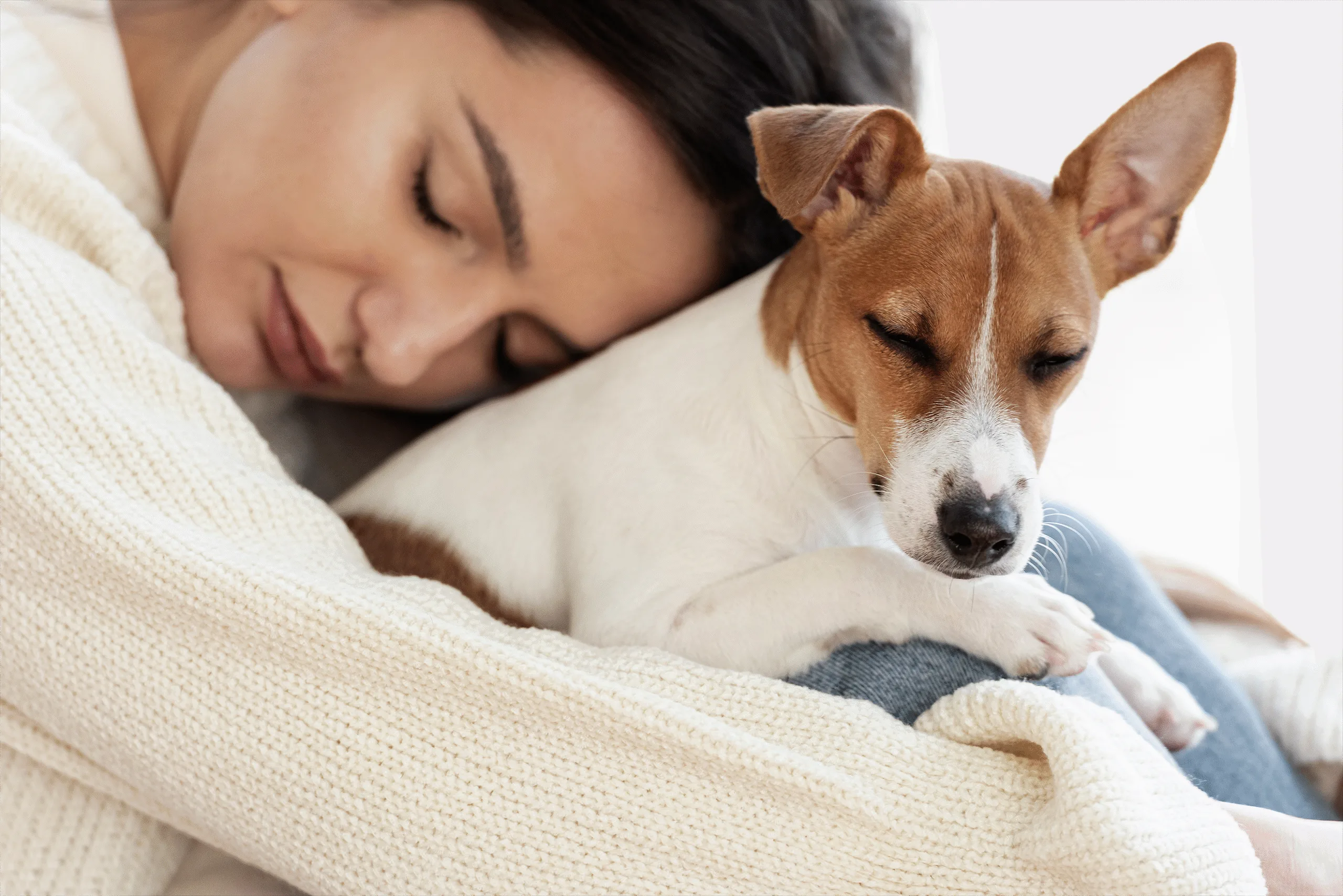 12-femme-tenant-un-mignon-chien-endormi-Exemple visuel – Source Freepik