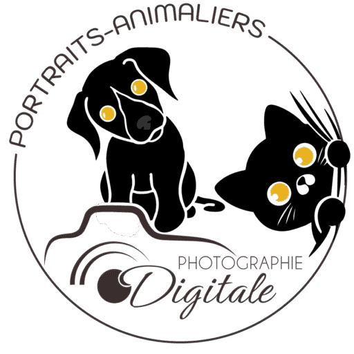 portraits-animaliers