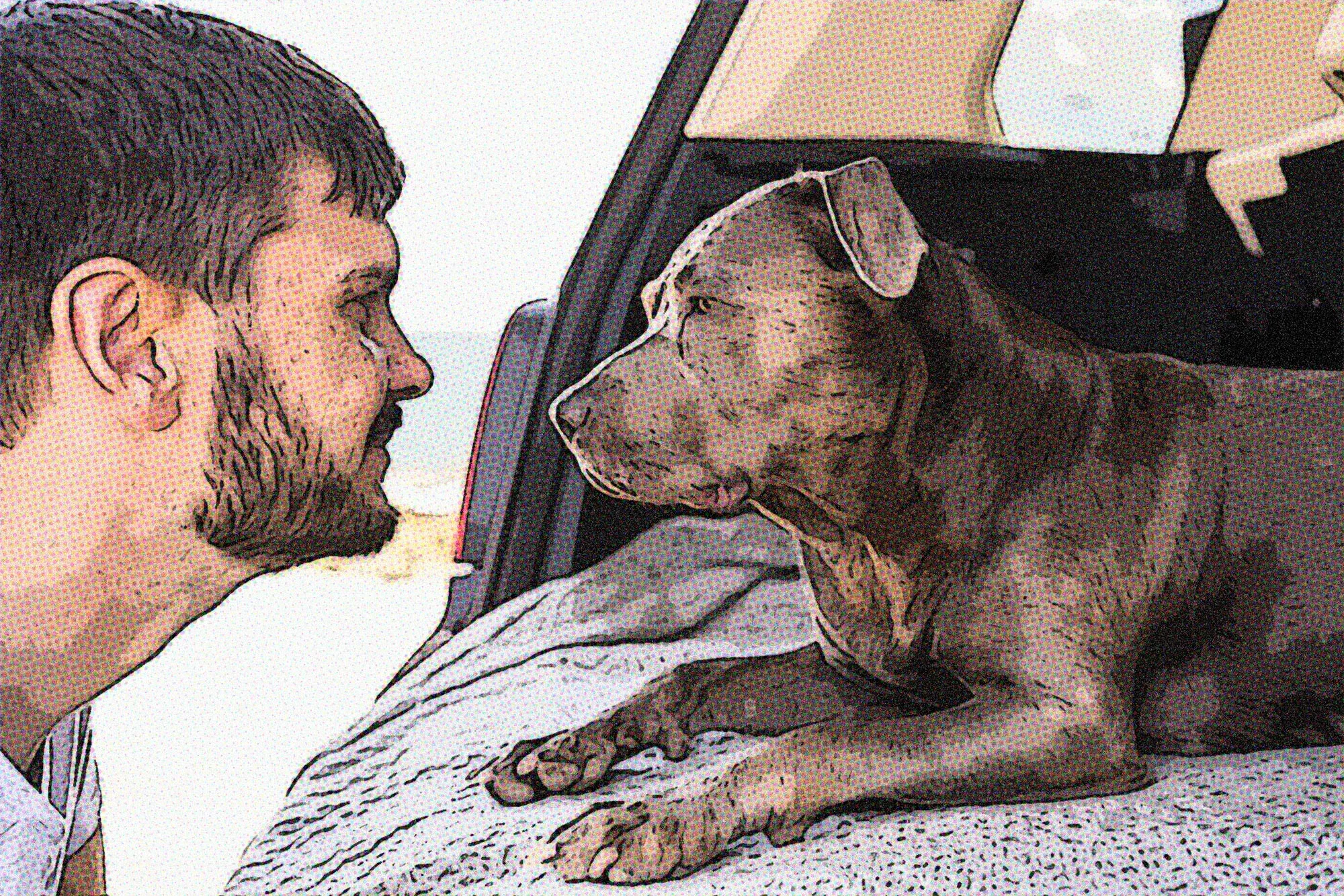 effetdessintrame portraitsanimaliers portraitsanimaliers effet dessin trame