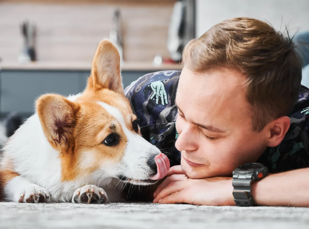 jeune homme allongé sur le sol avec un adorable  corgi